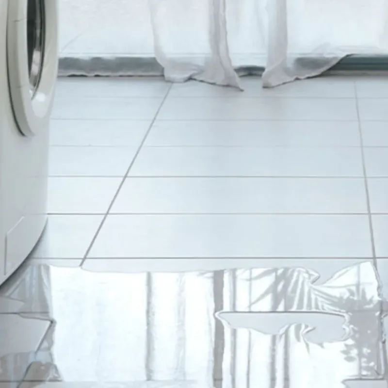 Appliance Leak Cleanup in Franklin County, VT