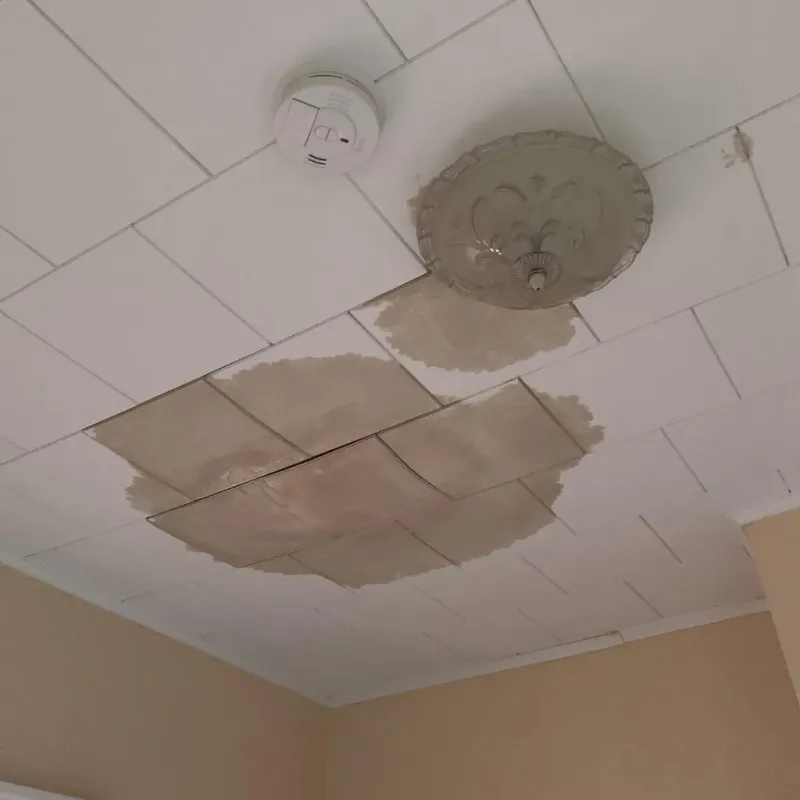 Ceiling Water Damage Repair in Franklin County, VT