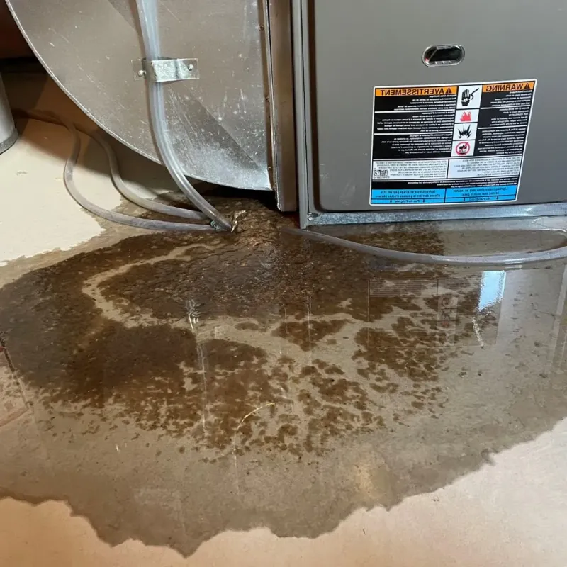 Pipe Burst and Leak Restoration in Franklin County, VT