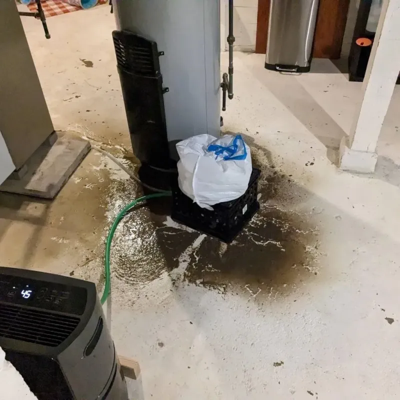 Sewage Backup Cleanup Service in Franklin County, VT